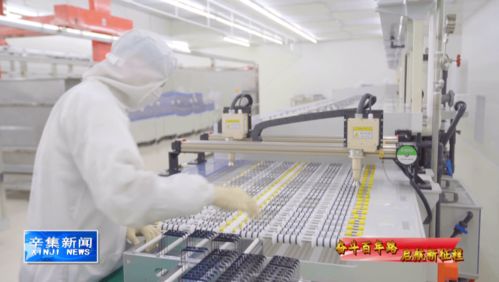 科技引領(lǐng)未來，創(chuàng)新驅(qū)動(dòng)發(fā)展 計(jì)算機(jī)技術(shù)開發(fā)的浪潮與方向